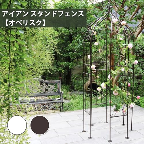 Amazon.co.jp: ガーデンガーデン: ALL